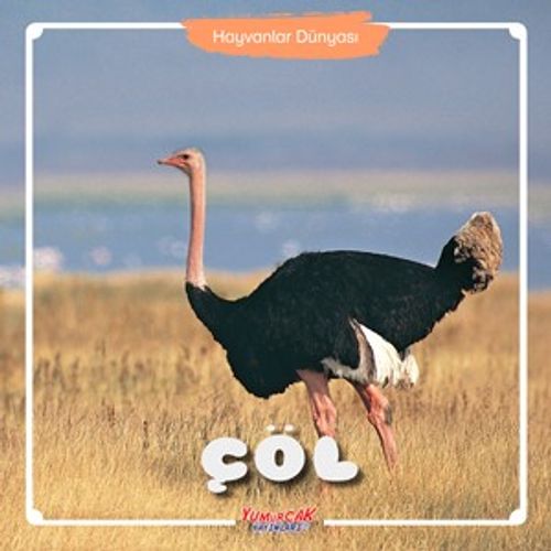 Çöl / Hayvanlar Dünyası 