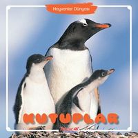 Kutuplar / Hayvanlar Dünyası