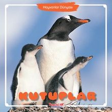 Kutuplar / Hayvanlar Dünyası