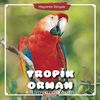 Tropik Orman / Hayvanlar Dünyası
