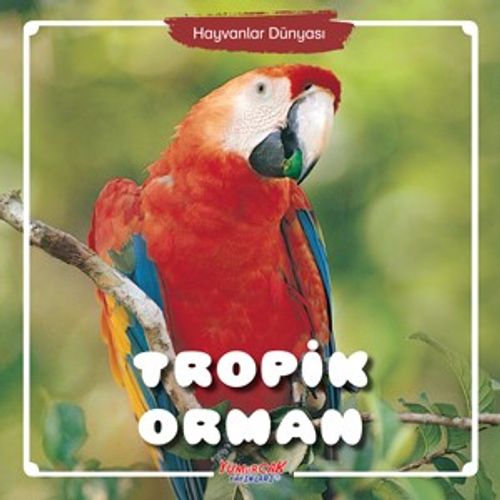  Tropik Orman / Hayvanlar Dünyası