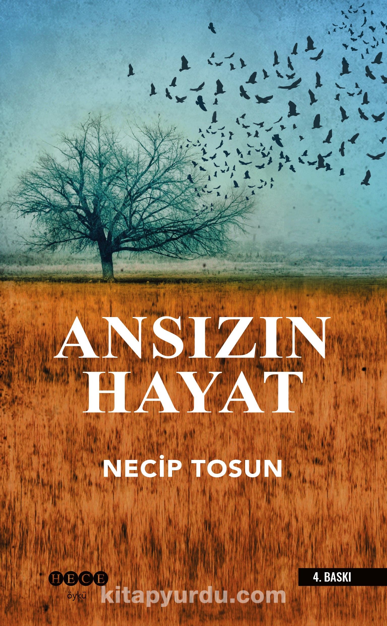 Ansizin Hayat Necip Tosun Kitapyurdu Com