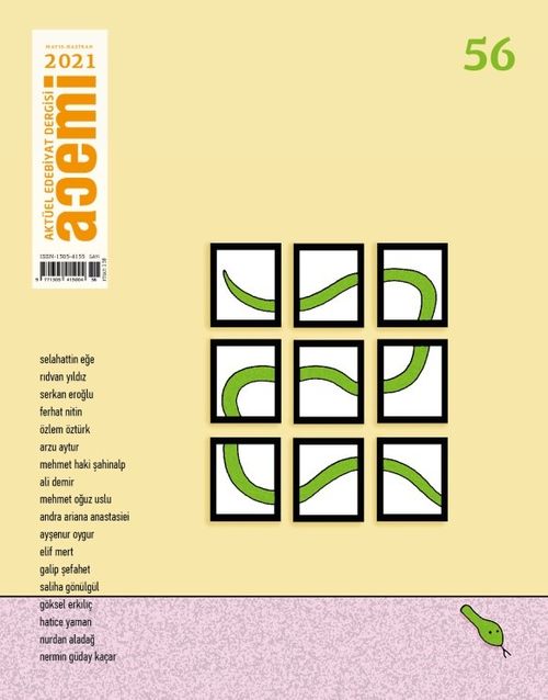 Acemi Aktüel İki Aylık Popüler Edebiyat Dergisi Mayıs-Haziran Sayı:56 2021