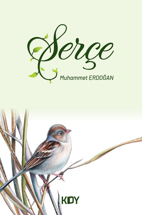 Serçe