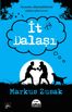 İt Dalaşı