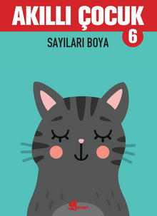 Akıllı Çocuk 6 / Sayıları Boya