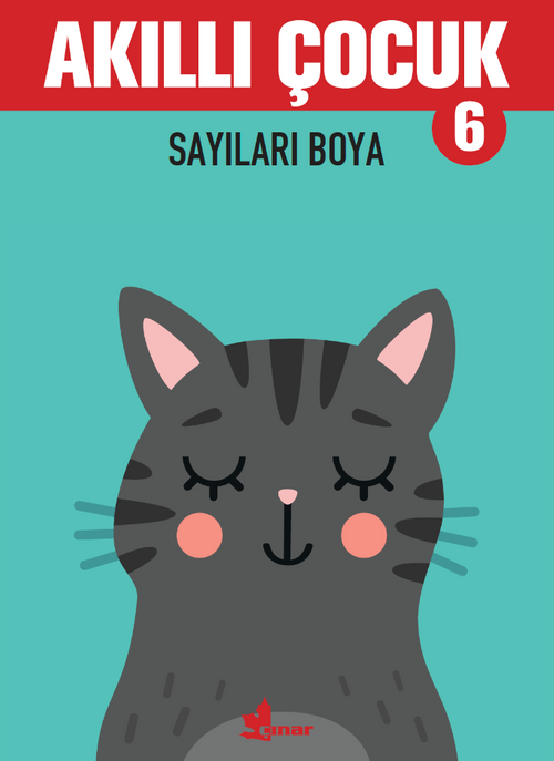 Akıllı Çocuk 6 / Sayıları Boya