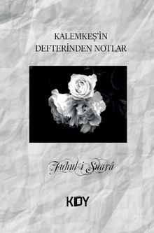 Kalemkeş'in Defterinden Notlar