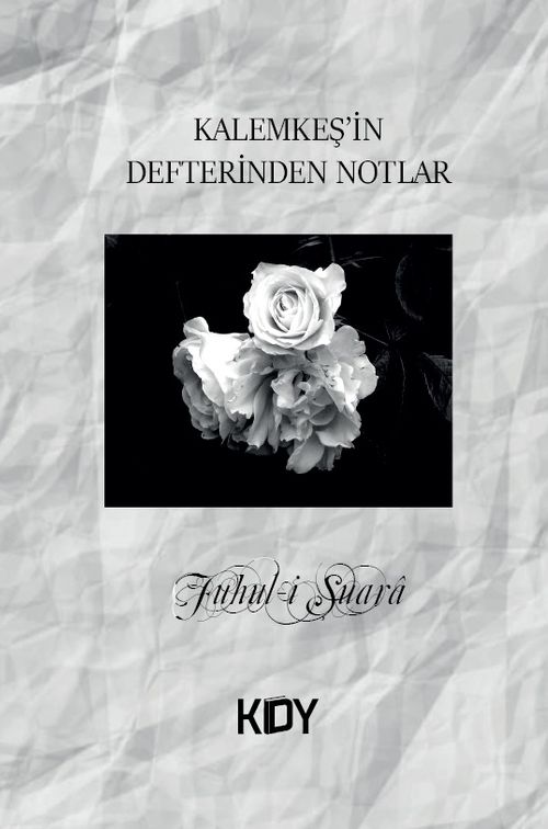 Kalemkeş'in Defterinden Notlar