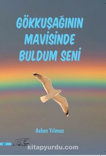 Gökkuşağının Mavisinde Buldum Seni - Aslan Yılmaz