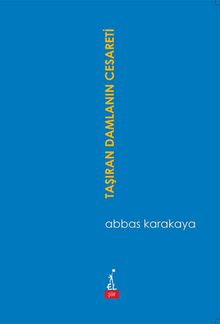 Taşıran Damlanın Cesareti