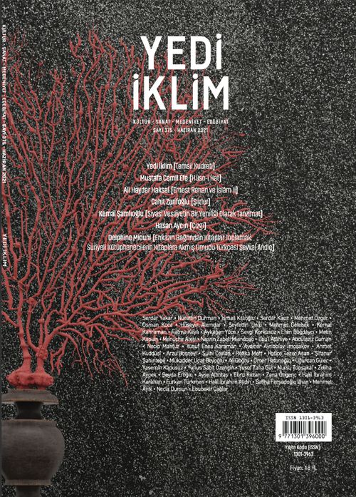 7edi İklim Sayı:375 Haziran 2021 Kültür Sanat Medeniyet Edebiyat Dergisi