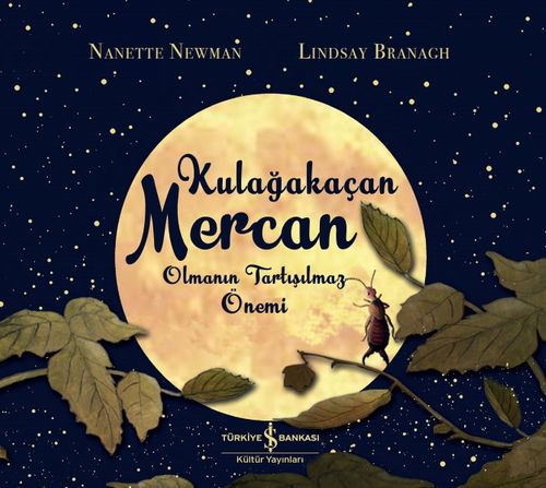 Kulağakaçan Mercan Olmanın Tartışılmaz Önemi   