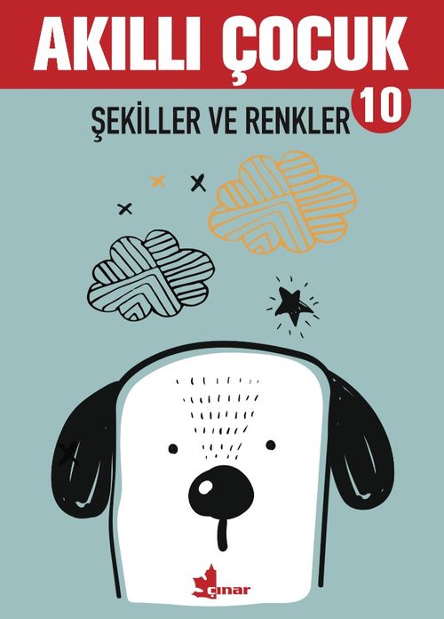 Akıllı Çocuk 10 / Şekiller ve Renkler