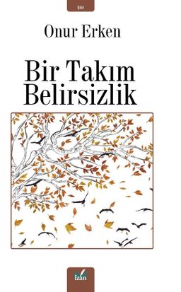 Bir Takım Belirsizlik  