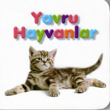 Küçük Kitaplar / Yavru Hayvanlar - Kolektif
