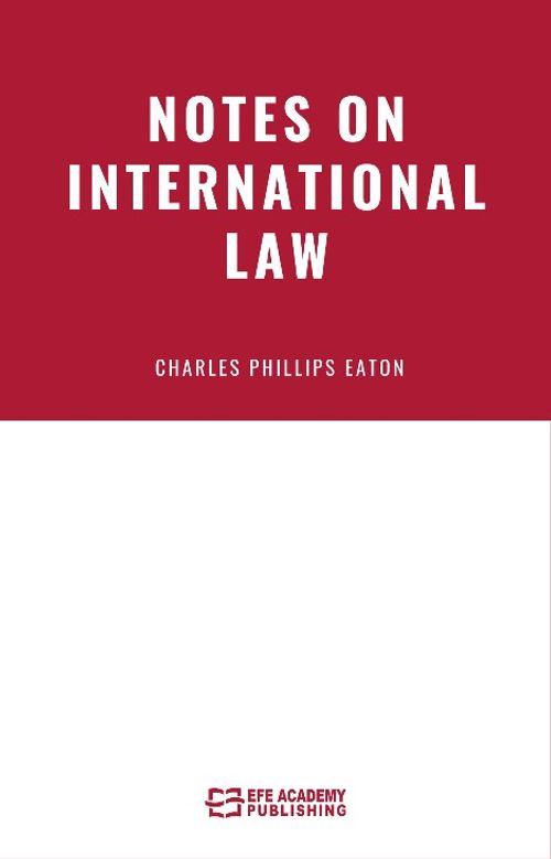 Notes On International Law 