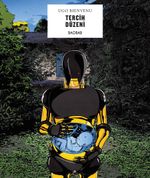 Tercih Düzeni