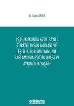 İş Hukukunda 6701 Sayılı Türkiye İnsan Hakları ve Eşitlik Kurumu Kanunu Bağlamında Eşitlik İlkesi ve Ayrımcılık Yasağı