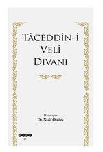 Taceddin-i Veli Divanı 
