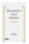 Taceddin-i Veli Divanı 