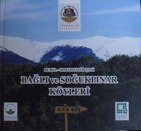 Bursa Osmangazi İlçesi Bağlı Ve Soğukpınar Köyleri (3-D-2)