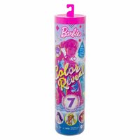 Barbie Color Reveal Renk Değiştiren Sürpriz Barbie Renk Bloklu Bebekler Seri 2 (GWC56)