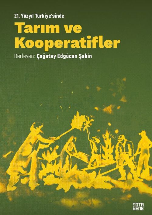 21. Yüzyıl Türkiye'sinde Tarım Ve Kooperatifler Teori, Pratik, Vizyon