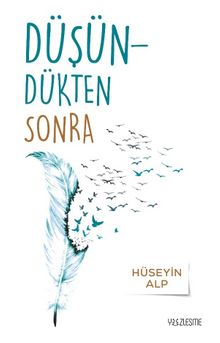 Düşündükten Sonra - Hüseyin  Alp