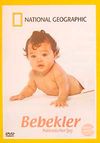 Bebekler Hakkında Her Şey (DVD)