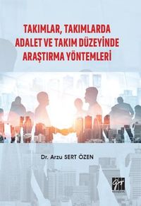 Takımlar, Takımlarda Adalet ve Takım Düzeyinde Araştırma Yöntemleri
