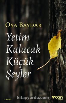 Yetim Kalacak Küçük Şeyler - Oya Baydar