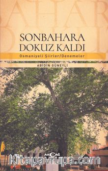 Sonbahara Dokuz Kaldı - Abidin Güneyli