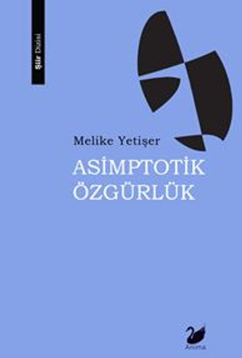 Asimptotik Özgürlük