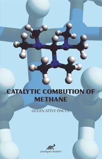 Catalytic Combution Of Methane