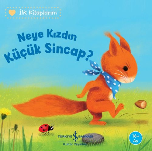 Neye Kızdın Küçük Sincap? / İlk Kitaplarım                                   