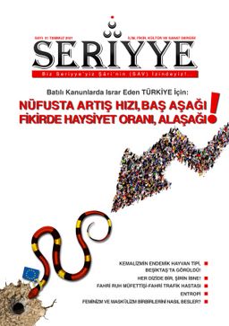 Seriyye İlim, Fikir, Kültür ve Sanat Dergisi Sayı:31 Temmuz 2021