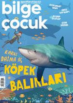 Bilge Çocuk Dergisi Sayı:60