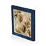 Full Frame Duvar Sanatları - Canvas Tablo - Gül - Tekli (FF-DS222)</span>
