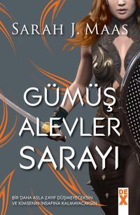 Gümüş Alevler Sarayı &Dikenler ve Güller Sarayı 4.Kitap