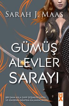 Gümüş Alevler Sarayı &Dikenler ve Güller Sarayı 4.Kitap