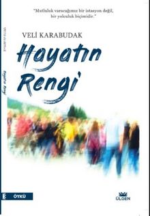 Hayatın Rengi - Veli Karabudak