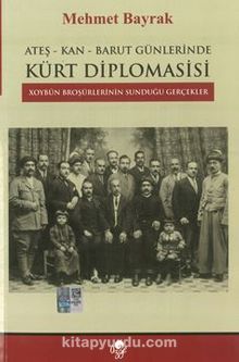 Ateş-Kan-Barut Günlerinde Kürt Diplomasisi - Mehmet Bayrak