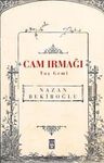 Cam Irmağı Taş Gemi