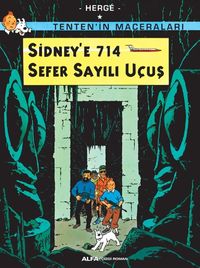 Sidney'e 714 Sefer Sayılı Uçuş 