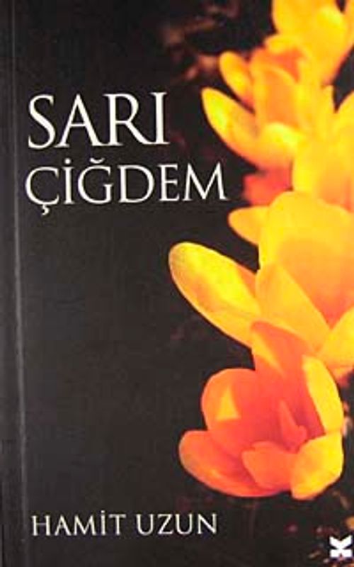 Sarı Çiğdem