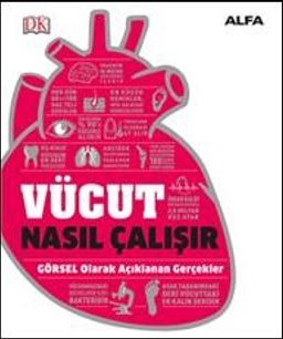 Vücut Nasıl Çalışır (Ciltli) / DK Nasıl Çalışır Serisi