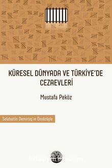 Küresel Dünyada ve Türkiye’de Cezaevleri - Mustafa Peköz