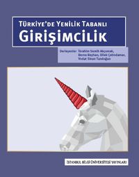 Türkiye'de Yenilik Tabanlı Girişimcilik