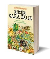 Küçük Kara Balık